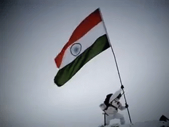 Man Holding Flag On Mountain GIF
