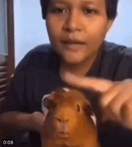 Man Holding Guinea Pig And Pointing GIF