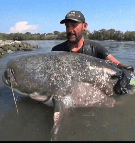 Man Holding Large Fish In Water Wearing Geoff Hat GIF
