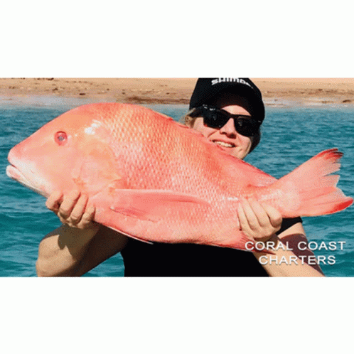 Man Holding Large Red Fish With Coral Coast Charters GIF
