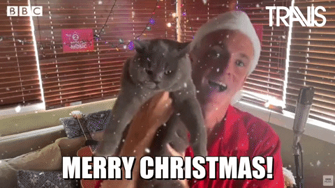 Man Holding Merry Christmas Cat GIF
