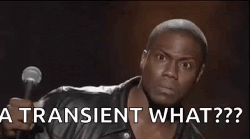 Man Holding Microphone Saying A Transient What? GIF