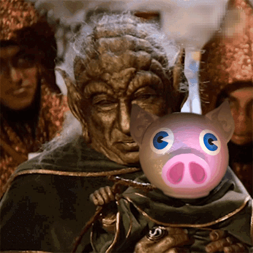 Man Holding Pig With Blue Eyes GIF