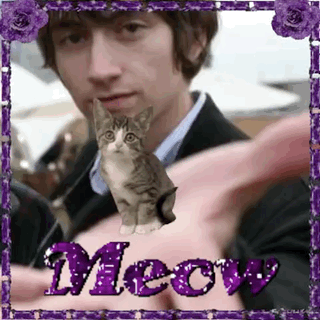 Man Holding Small Cat With Purple Meow