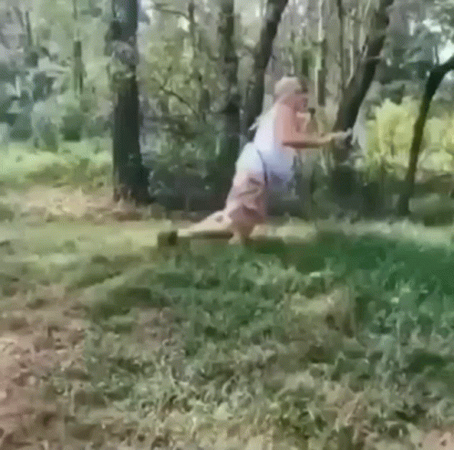 Man Holding Stick On Log In Woods GIF