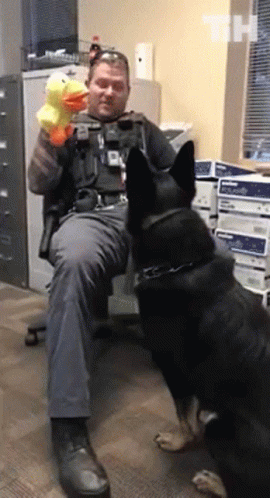 Man Holding Stuffed Duck Sitting Next To Dog GIF