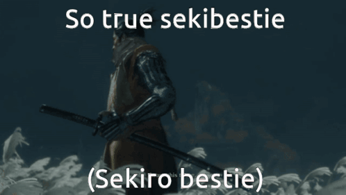 Man Holding Sword So True Sekibestie Sekiro Bestie