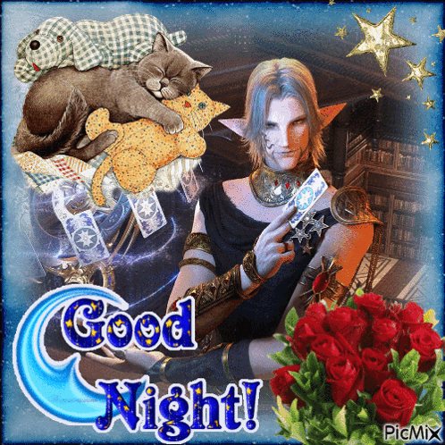 Man Holding Tarot Card Good Night