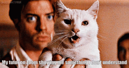 Man Holding White Cat My Tutor on Zoom