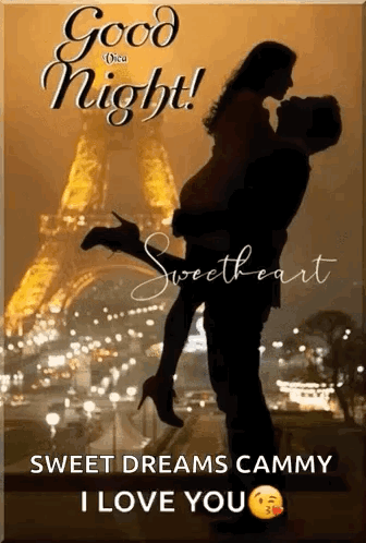 Man Holding Woman in Front of Eiffel Tower Says Good Night