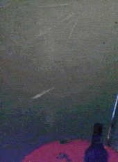 Man Holing Wall And Drinking Beer GIF