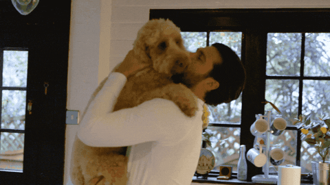Man Hugging Cute Dogs GIF