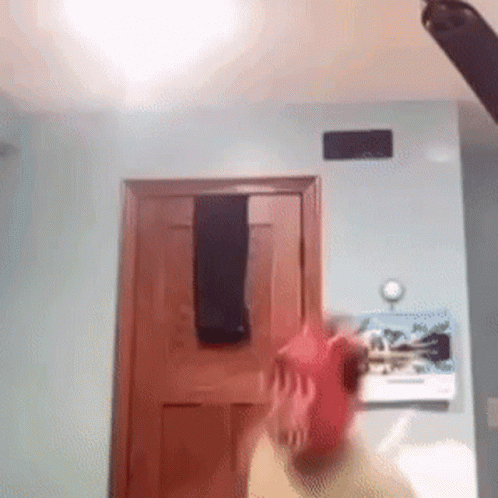 Man In A Funtime Foxy Costume GIF