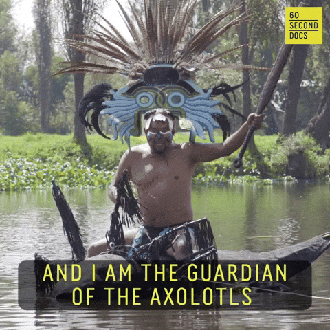 Man In A Small Boat Guardian Of Axolotl Meme GIF