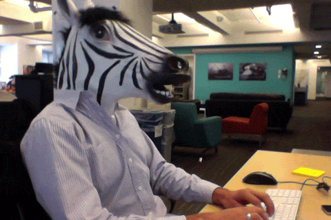 Man In A Zebra Head Dress Working In The Office GIF