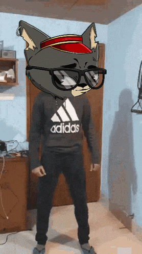Man in Adidas Sweatshirt with Cat Head on Head