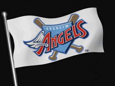 Man in Angels Jersey
