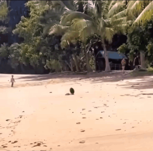 Man In Beanie Saying It's A Rainy Day GIF