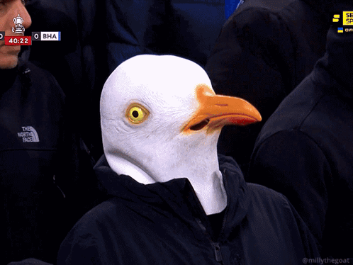 Man in Bird Mask Watching Soccer Score 42:26