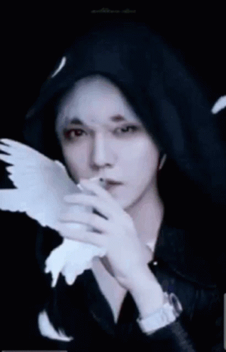 Man In Black Hooded Jacket Holding White Bird GIF