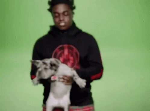 Man in Black Hoodie Holding Small Dog