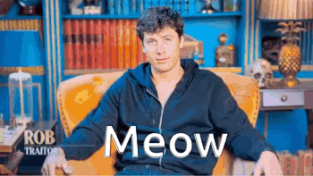 Man in Black Hoodie Sitting on Meow Chair