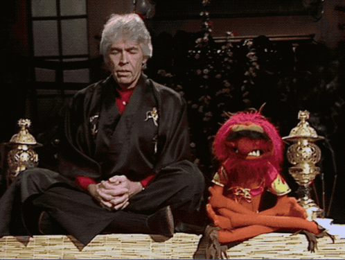 Man in Black Robe in Lotus Position Next to Stuffed Animal