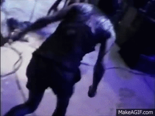 Man in Black Shirt Dancing