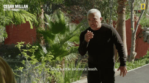 Man In Black Shirt Says Give A Little Bit More Leash National Geographic Ad GIF
