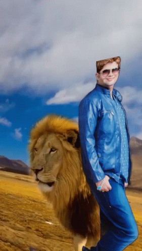Man in Blue Jacket Next to Lion in Field