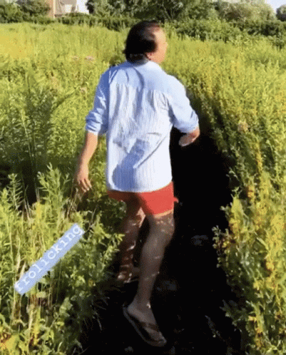 Man In Blue Shirt And Red Shorts Walking Through Grassy Field GIF