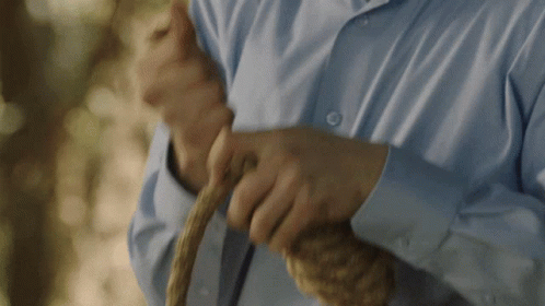 Man in Blue Shirt Holding Wood
