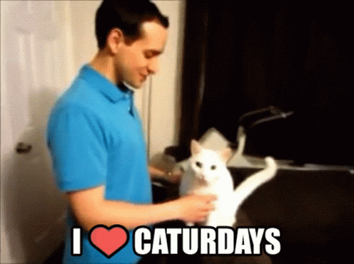 Man in Blue Shirt Petting White Cat Saying I Heart Caturdays