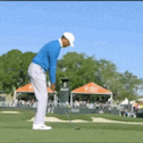 Man in Blue Shirt Playing Golf