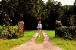 Man in Blue Shirt Running Down Dirt Road