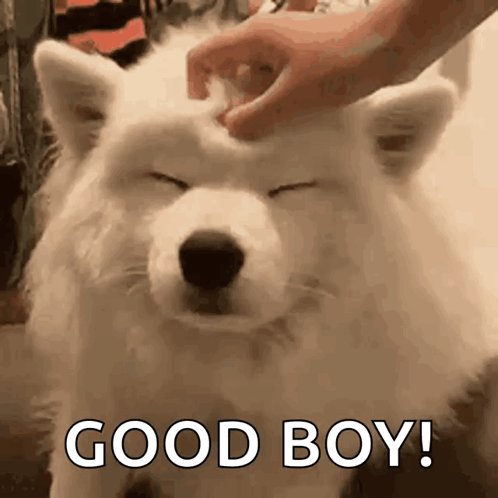 Man in Blue Shirt Smiling 1st One Gifs