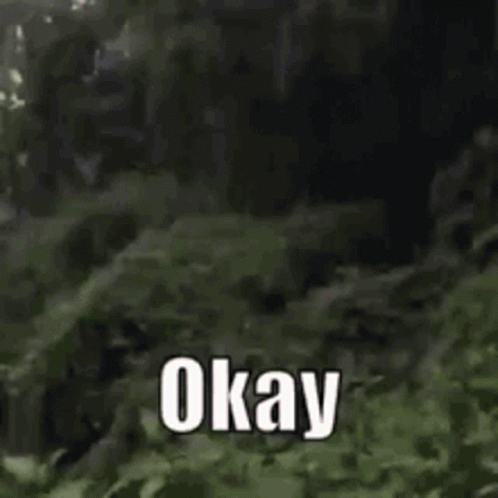 Man in Blue Shirt Smiling and Saying Okay