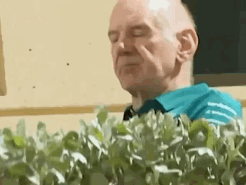 Man in Blue Shirt Standing in Front of Bush