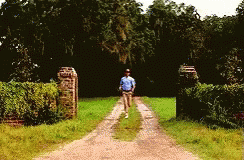 Man In Blue Shirt Walking GIF