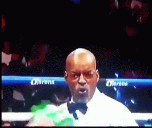 Man In Bow Tie Boxing Ring GIF