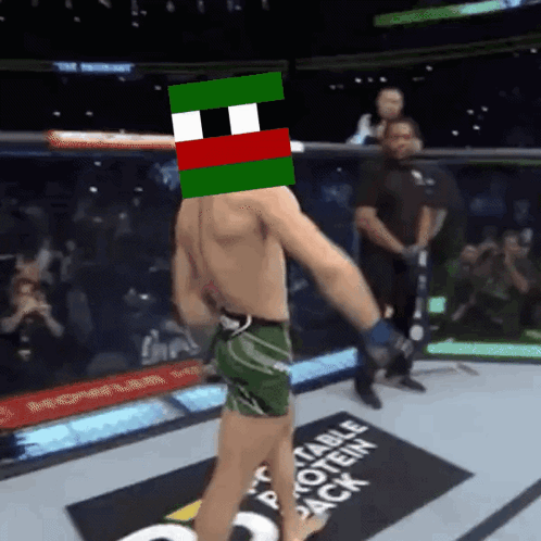 Man in Boxing Ring with Green Red Mask