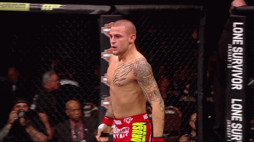 Man In Boxing Ring With Harley Davidson Sign GIF