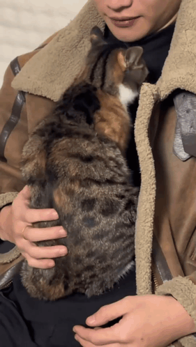 Man in Brown Jacket Holding Cat