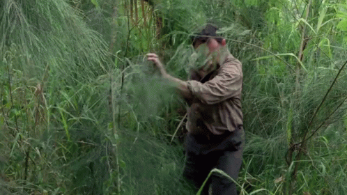 Man in Brown Shirt in Lush Green Forest