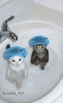 Man In Bucket Hat Dancing On Stage GIF