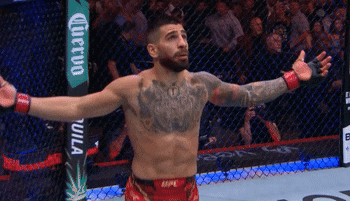 Man In Cage Arms Outstretched UFC Sign GIF