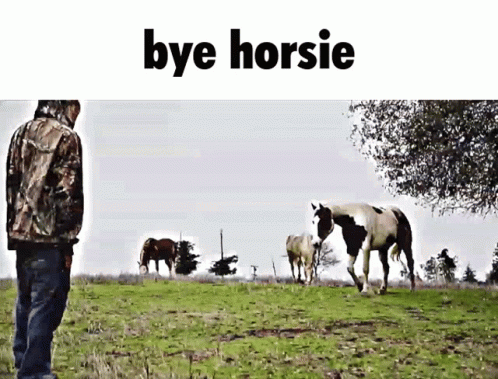 Man in Camo Jacket Saying Bye Horsie