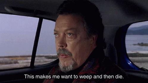 Man In Car This Makes Me Want To Weep And Then Die GIF