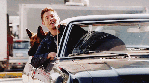 Man In Car With Dog Sticking Head Out Window GIF