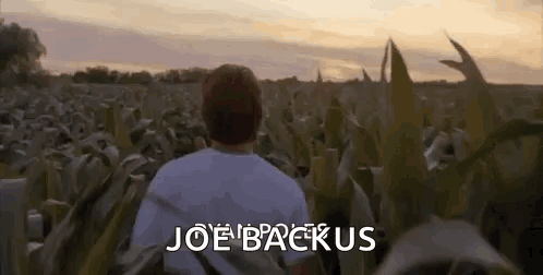 Man In Corn Field Saying Joe Backus GIF